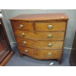 A Regency mahogany bow front chest of drawers with oval brass handles and stamped temple decoration,