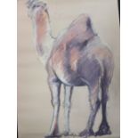 A collection of 18th and 19th century prints and maps, a watercolour of a camel and a World War II