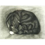 § Nan Youngman, OBE (British, 1906-1995) A Sleeping cat signed lower right "Nan Youngman / 1969"