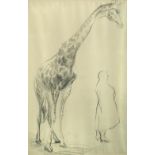§ Gertrude Hermes (British, 1901-1983) Giraffe and admirer signed centre bottom "Gertrude Hermes /