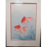 Three framed prints of fish