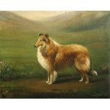 Henry Crowther (British, fl. 1905-1939) Study of "Hayfield Flash", a Rough Collie, together with