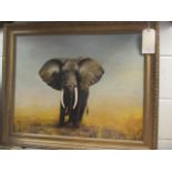 C D Wesley (British, 20th Century) Study of a Bull Elephant signed lower right "C D Wesley '71"