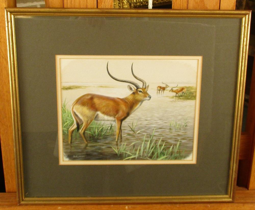 § David Morrison Reid Henry (British, 1919-1977), Red Lechwe; and Sassaby, signed lower left "D M - Image 7 of 7