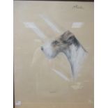 Gaulis (British, 20th century), a wite haired fox terrier "Charles", pencil gouache, signed and