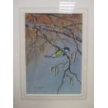 John Baxendale (1919-1982), a blue tit, watercolour