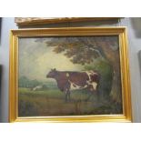 English School (19th century) A Longhorn cow, oil on canvas, 49 x 62cm Lined. There are two