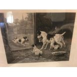 Four Victorian engravings of dogs. A.C. Alais after S. Berkley, 'A Disgrace to his Family' and 'A