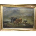 (British School, late 19th century) Highland Cattle grazing, oil on canvas, 48 x 73cm
