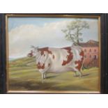 English School (20th century) A short horn cow in a landscape, oil on board 38.5 x 47cm