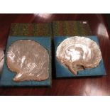 Two brocade boxed carved mother of pearl shells, one carved overall with foliage and the other