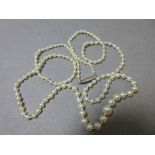 A graduated string of small pearls believed to be natural, with a diamond clasp, the 2-5mm pearls