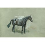 § Lionel Edwards (British, 1878-1966) Study of a dark bay thoroughbred signed lower right "Lionel