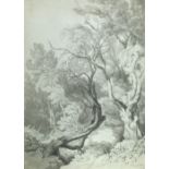 John White Abbott (British, 1763-1851) Woodland landscape dated "July 27. 1835" lower right pen
