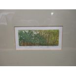 § Glynn Thomas, RE (British, 1946), Lily of the valley, etching with aquatint, artist's proof,