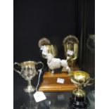 Seven various trophies