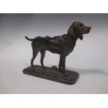 A bronze figure of a Bloodhound a/f