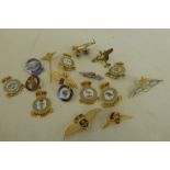 Seventeen Royal Air Force WW2 and later sweetheart brooches and lapel badges.
