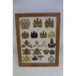 A framed display of 19 assorted military badges.