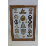 A framed display of 19 assorted military cap badges.