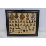 A framed display of 61 Wiltshire Regiment helmet plates, cap badges and shoulder titles.