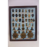 A framed display of British Fusiliers cap badges, plus three helmet plates to the Army Veterinary