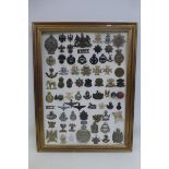 A framed display of 73 British military cap badges.