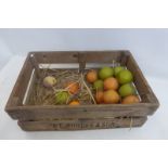 A wooden advertising crate A.E. Burree & Son with some dummy fruit for museum display.