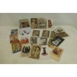A selection of assorted postcards to include animals and other subjects.