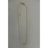 A cased single string of pearls with a 9ct gold clasp.