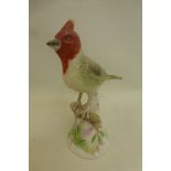 A Copeland Spode figure of a redcap bird.