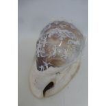 A large seashell carved as a cameo, the design depicting cherubs and classical figures.