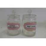 Two glass chemist jars with pink labels for Voice Jujubes and Magnum Bonum Jujubes.