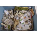 A quantity of tea cards.