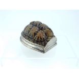 An antique silver mounted terrapin Snuff Mull, of oval outline, the plastron forming the centre of