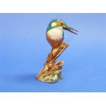 A Beswick pottery Kingfisher, issued in 2006, limited edition of 250, beak restored, 7in (17.75cm)