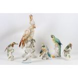 An interesting collection of Continental porcelain figures of exotic birds, early 20th Century,