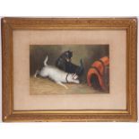 An oil painting study of two Terriers in a barn, gilt framed, 21 x 34cm.