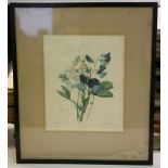 BOTANY/ORNITHOLOGY - A collection of 18th/early 19th century plates, framed and glazed, including