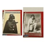 STAR WARS - A collection of signed photographs including: Mark Hamill, Kenny Baker (twice) Anthony