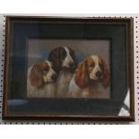 An oil painting study of Springer Spaniel Gun dogs, in dark wood and oak frame, 28 x 38cm.