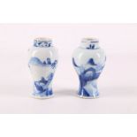 Two Chinese late 17th / early 18th Century miniature Kangxi period blue and white vases, both