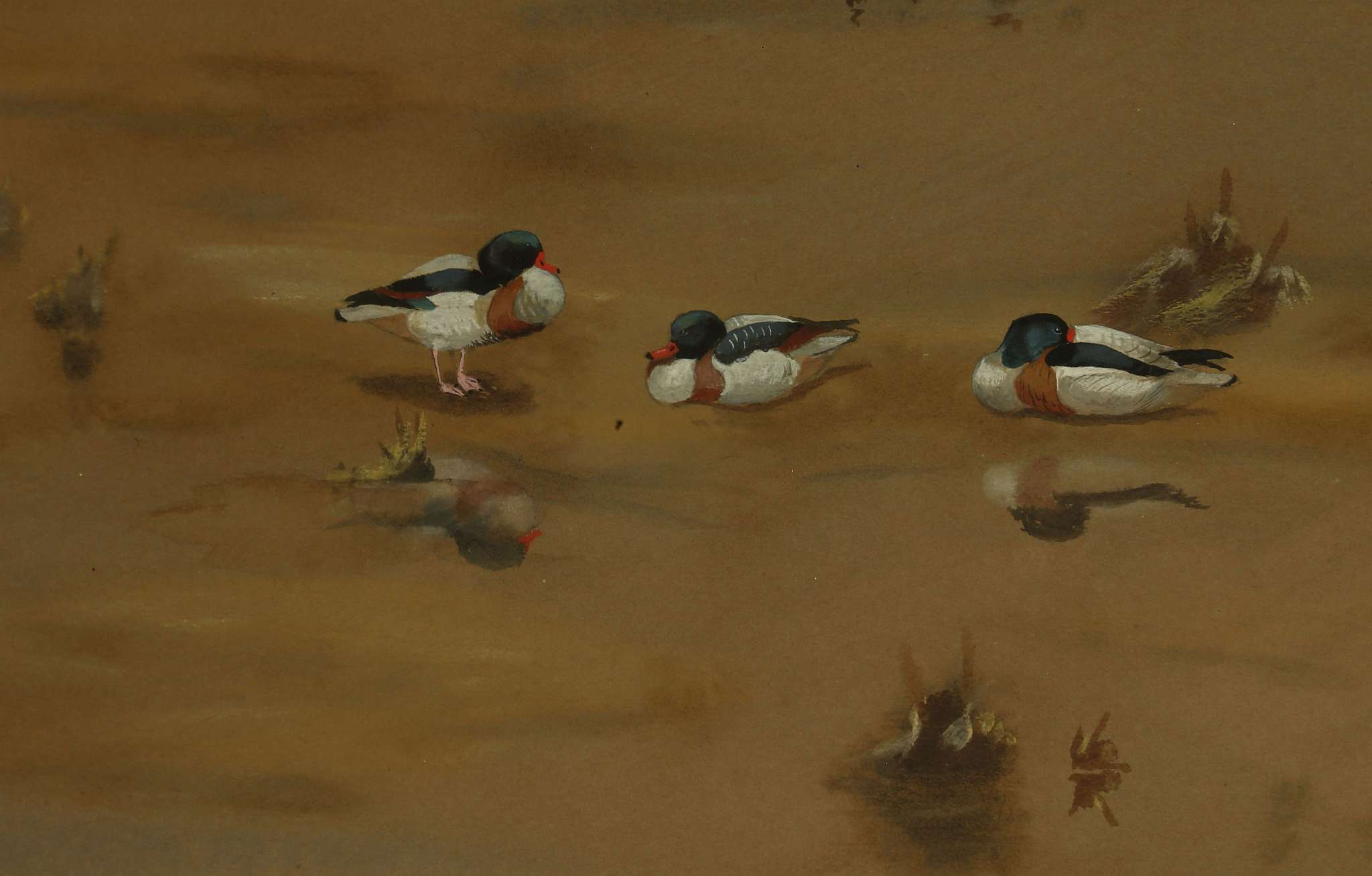 PHILIP CHARLES RICKKMAN 1891-1982. 'Settling Ducks on a Mudflat'. Watercolor and body colour. Signed - Image 2 of 5