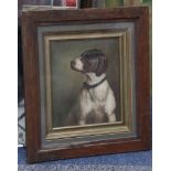 An oil painting study of a pointer gun dog, in oak frame, 23.5 x 19.5cm.