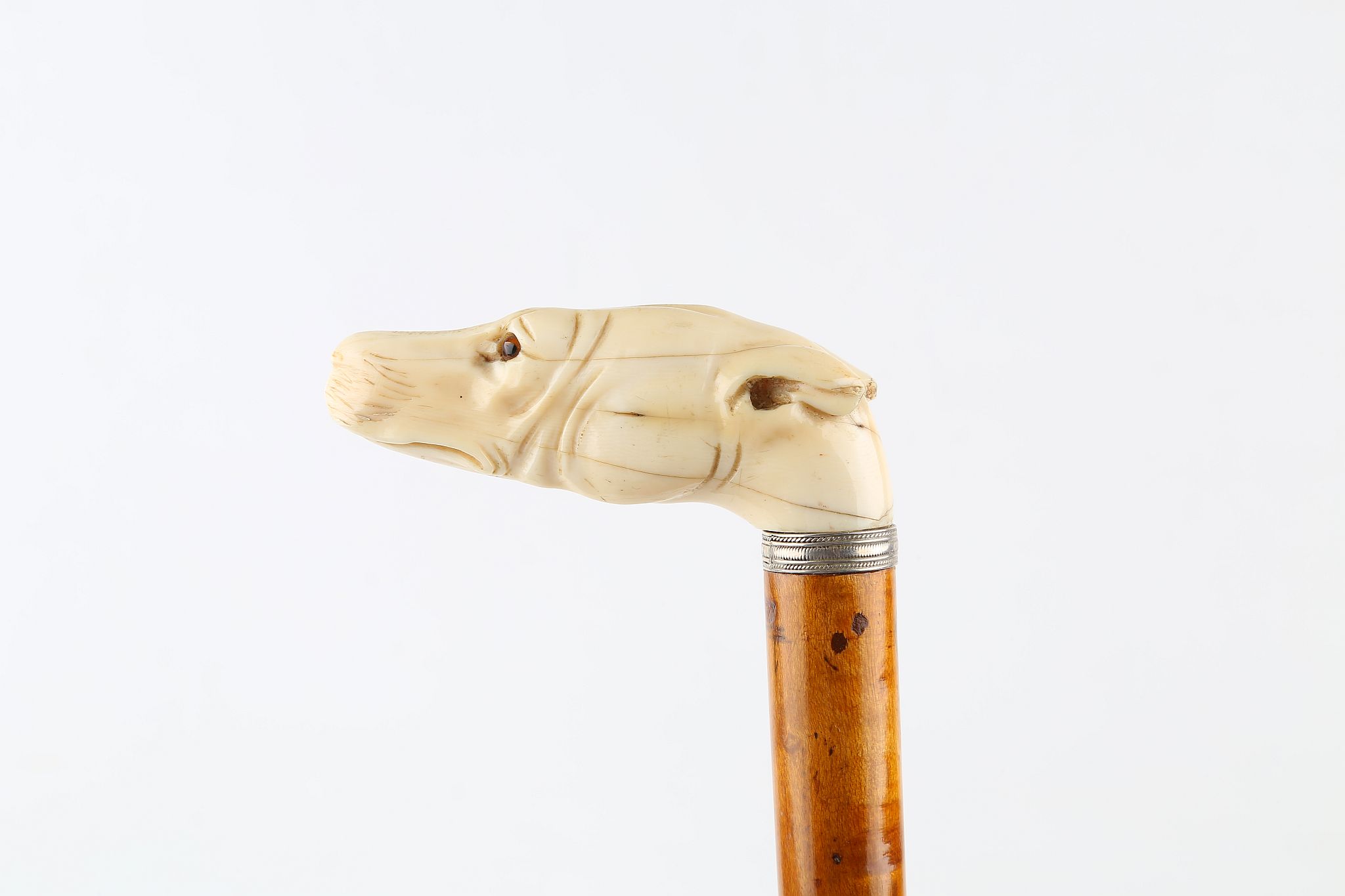 A LATE 19TH CENTURY CANE, ivory dog with glass eyes mounted with silver collar on a blond hardwood - Image 4 of 5