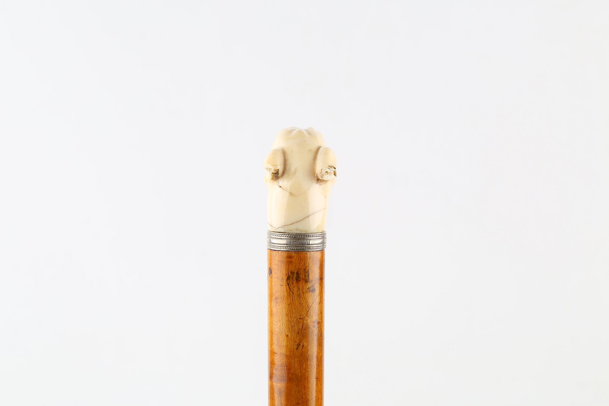 A LATE 19TH CENTURY CANE, ivory dog with glass eyes mounted with silver collar on a blond hardwood - Image 3 of 5