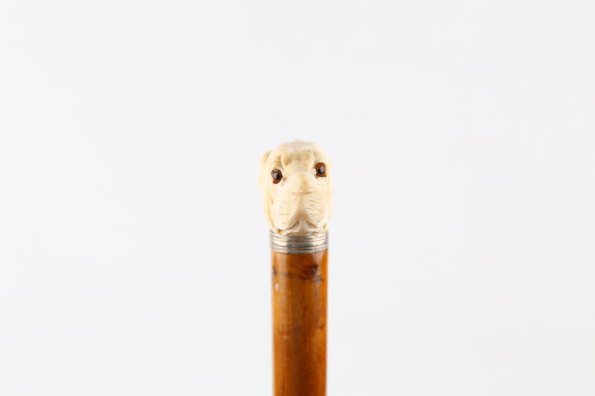 A LATE 19TH CENTURY CANE, ivory dog with glass eyes mounted with silver collar on a blond hardwood - Image 2 of 5