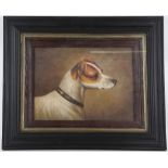 An oil painting of a Jack Russell Terrier, in ebonised frame, 28 x 37cm.