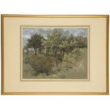 JAMES THOMAS LINNELL (1826-1905). 'Sketch of Woodland' (possibly Surrey)  crayon with chalks on grey