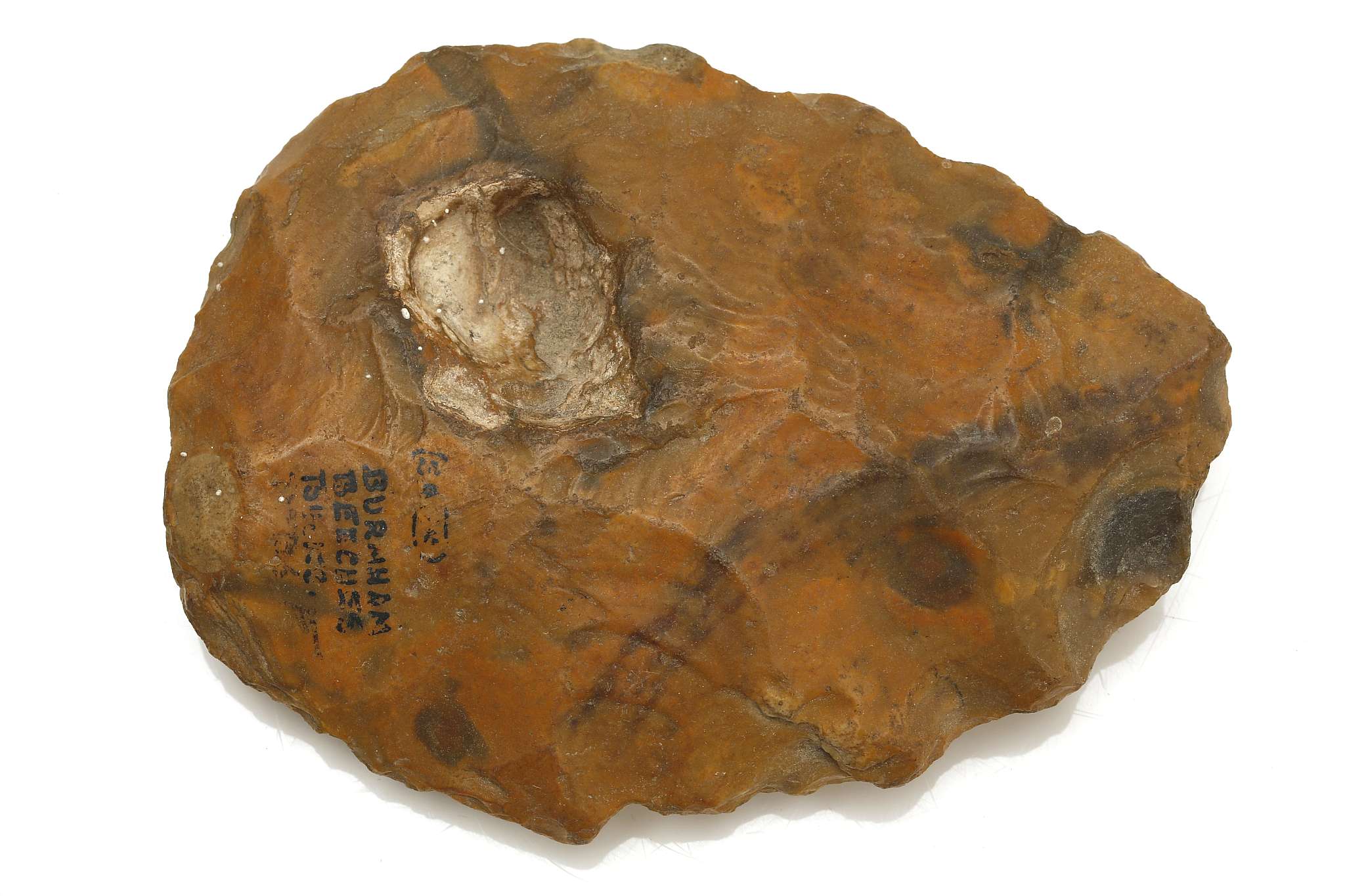 A PALAEOLITHIC CARAMEL-COLOURED FLINT HAND AXE With an ink inscription indicating it was found in